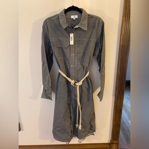 AG Striped Belted Shirt Dress